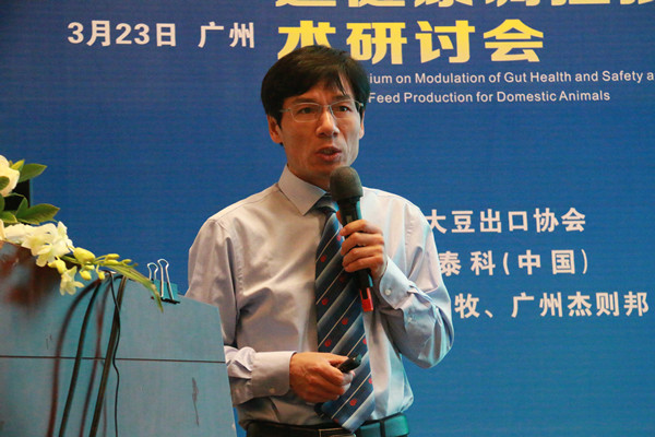 52446-1P32415224Gc.jpg