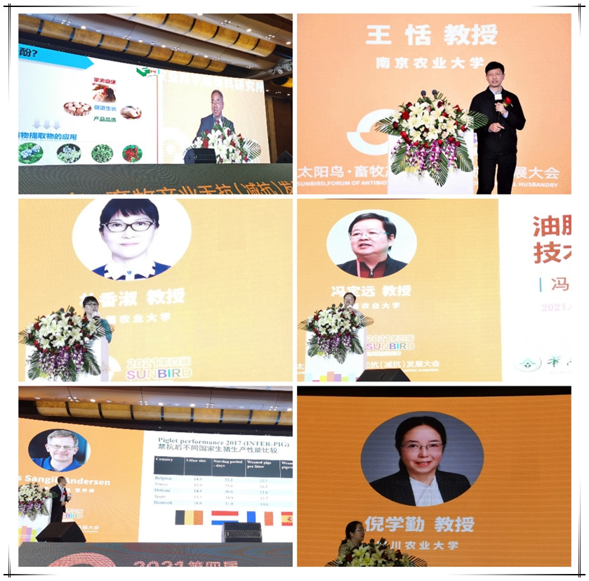 微信圖片_20210417144124_副本333.jpg 圖片