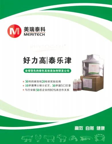 44.jpg 圖片